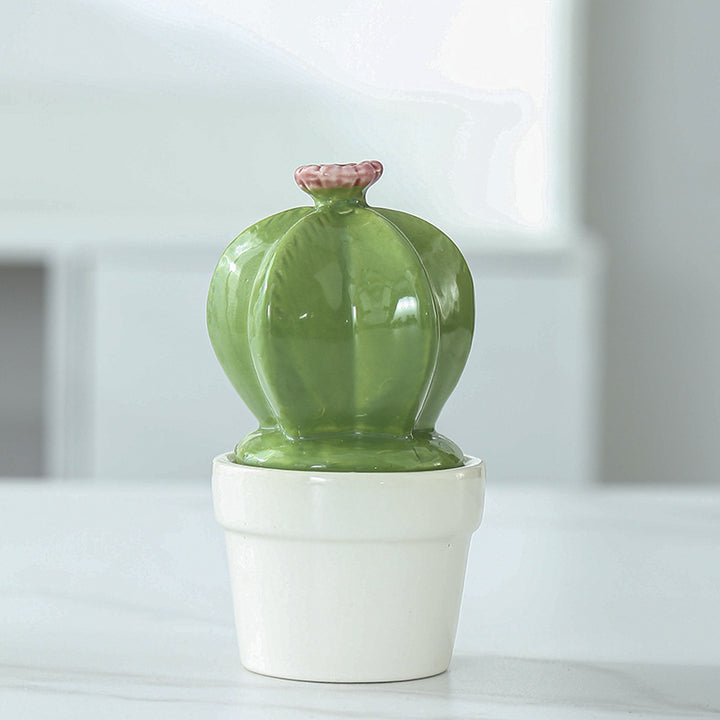 Decorative Ceramic Cactus Planter Stornfeild