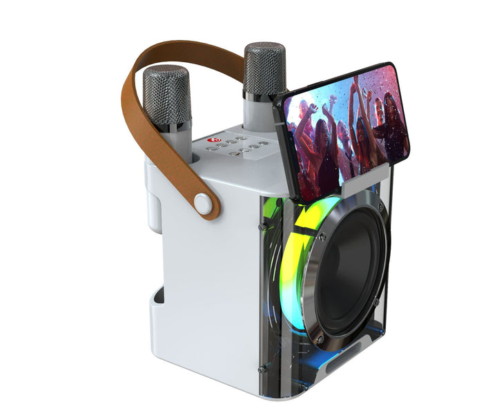 Karaoke Speaker System with Dual Microphones Stornfield