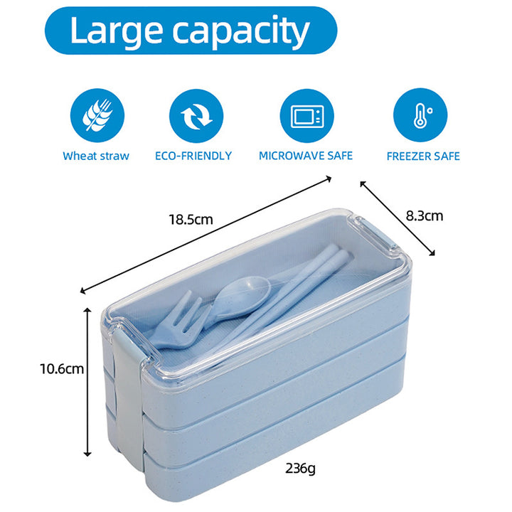 Multi-Compartment Bento Lunch Box