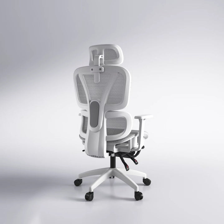 Ergonomic Office Chair Stornfield