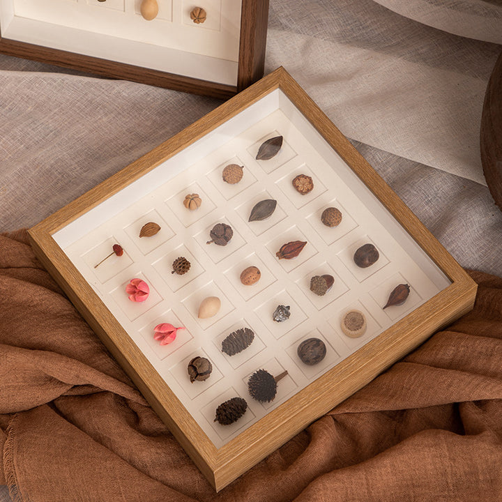 Botanical Specimen Display Frame