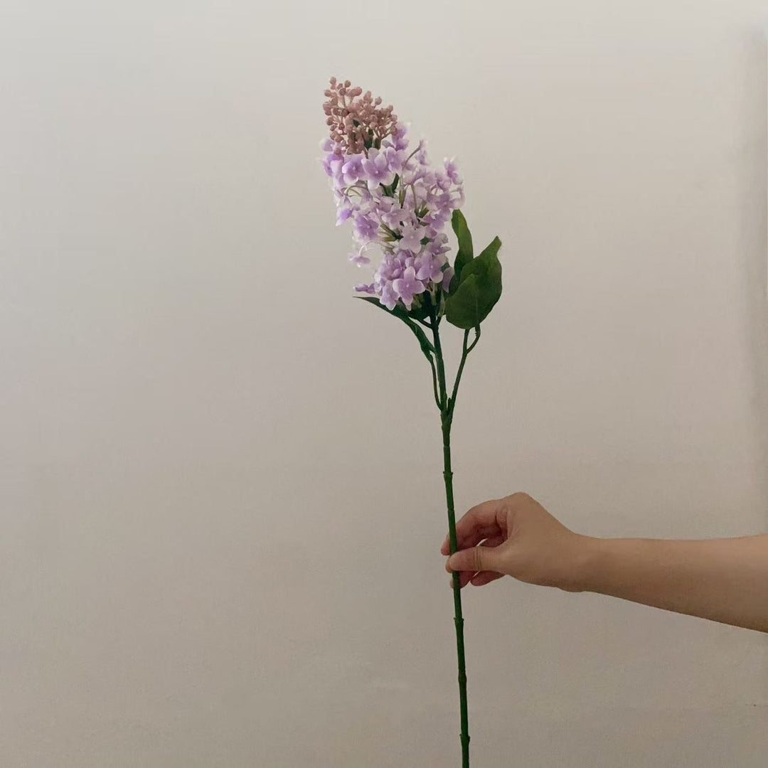 Realistic Lilac Flower Stem