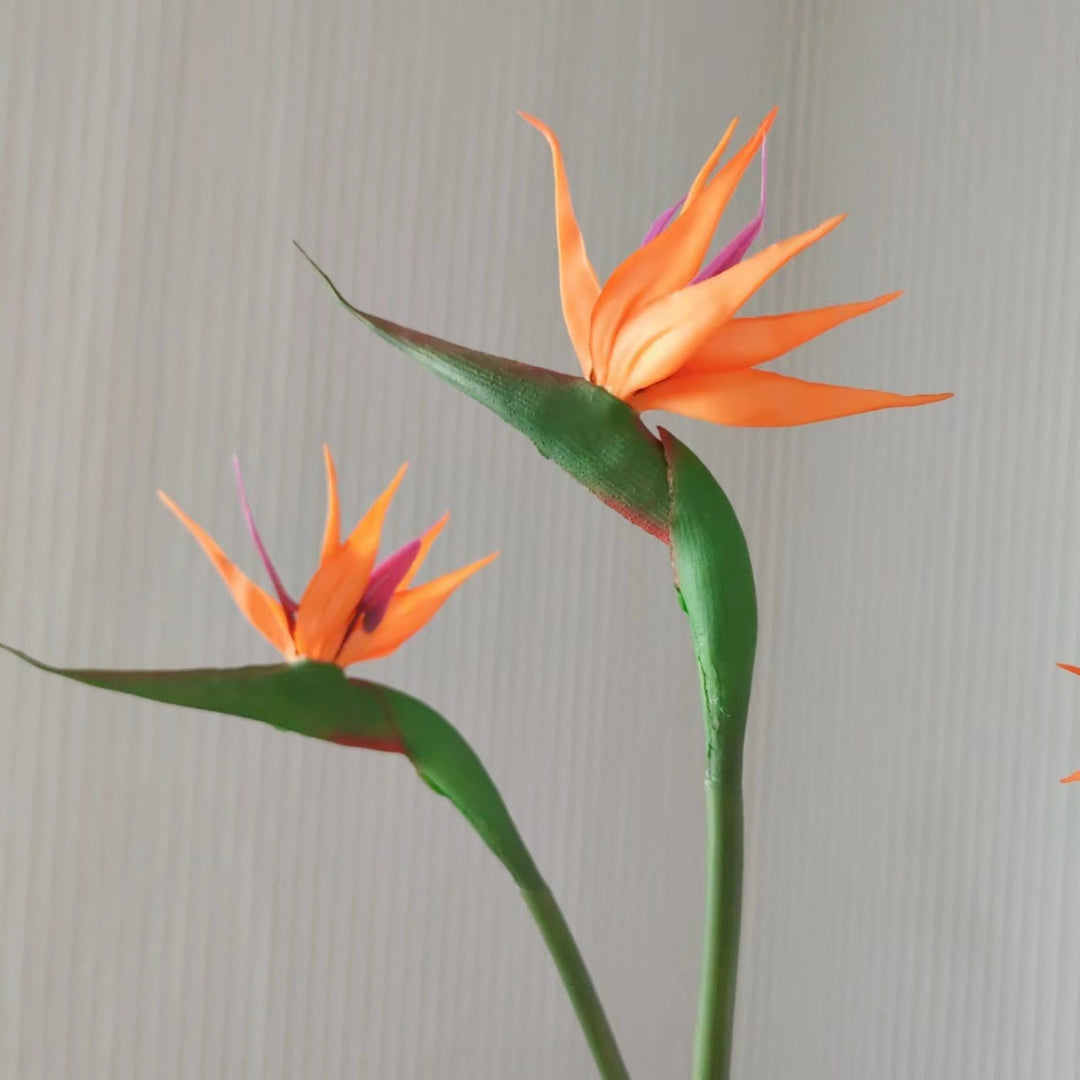 Decorative Bird of Paradise Stem