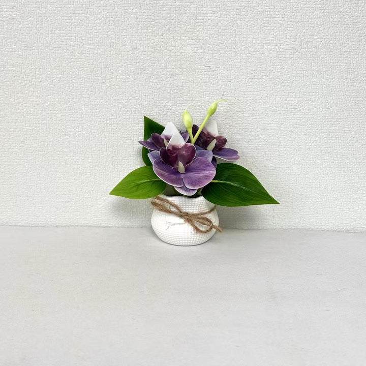Decorative Miniature Orchid Arrangement