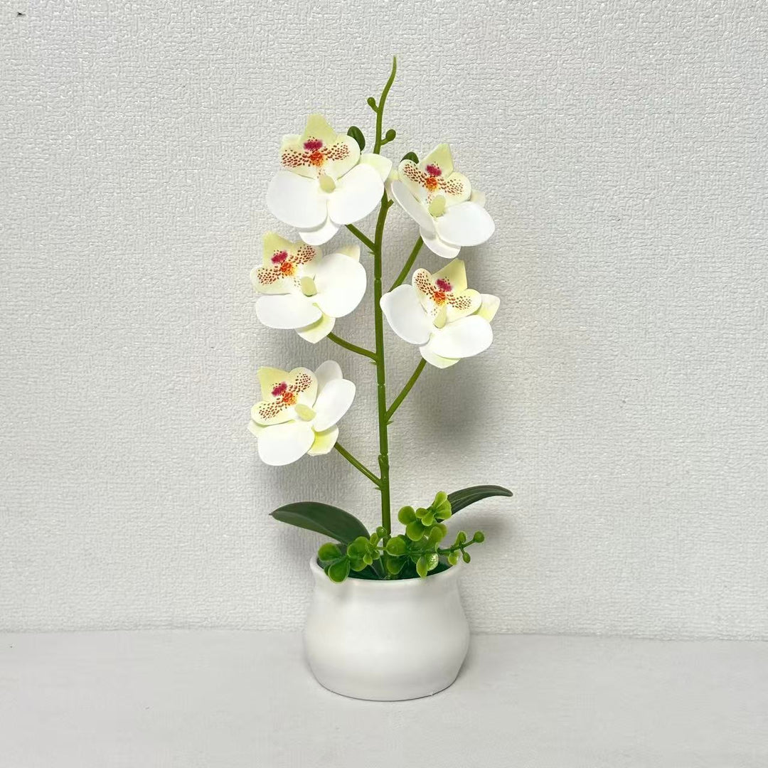 Artificial Orchid Plant Arrangement 1790480695 for Home Decor and Display