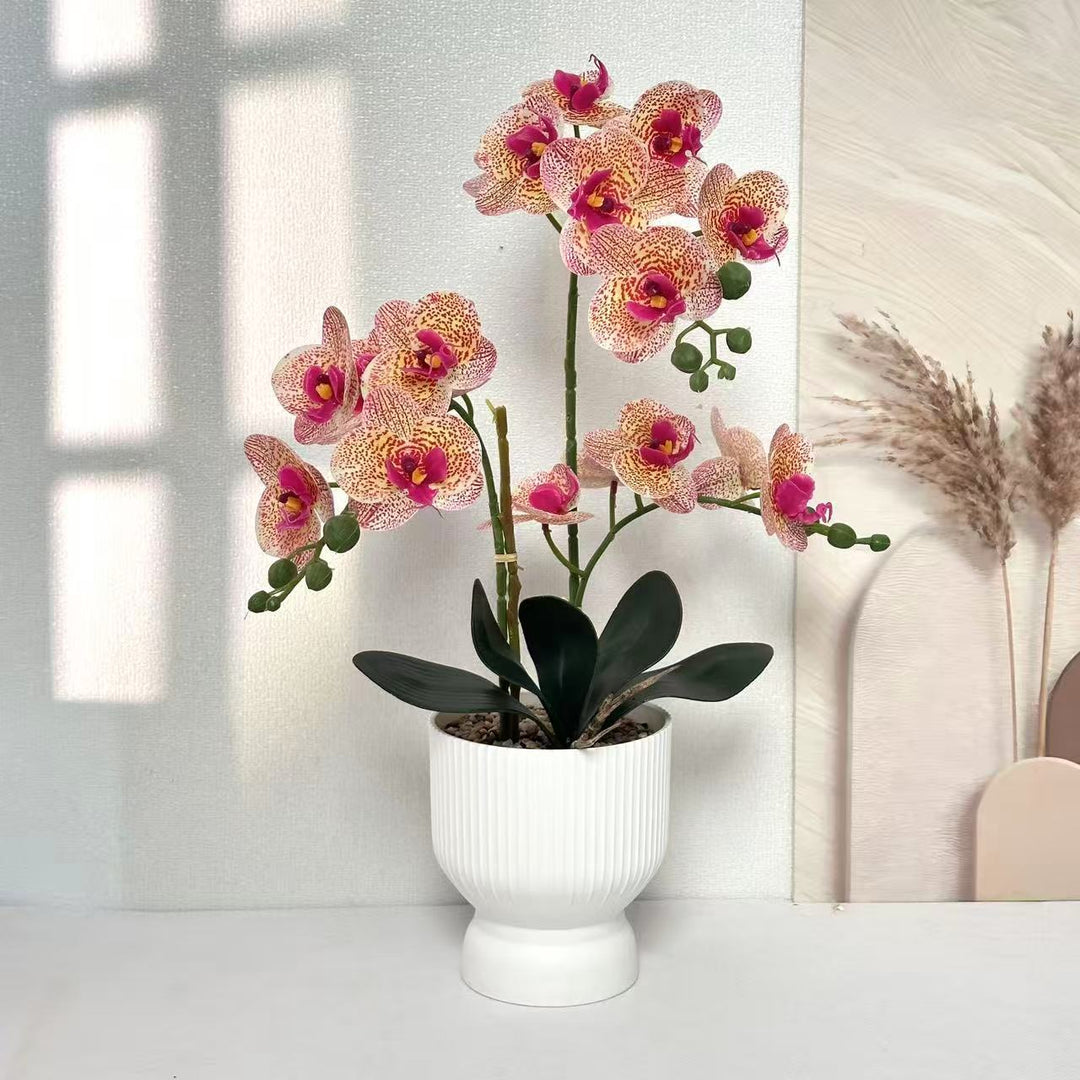 Lifelike Orchid Floral Décor
