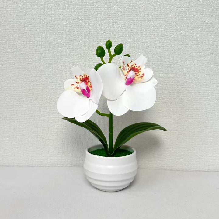 Realistic Artificial Orchid Plant Arrangement for Home Display