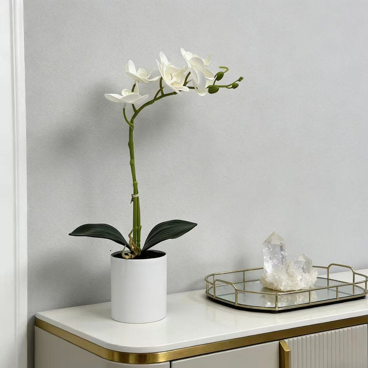 Realistic Artificial Orchid Stem