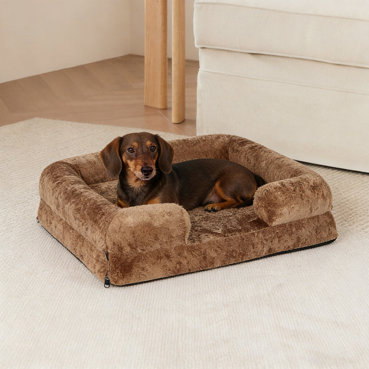 Bolstered Soft dog Couch