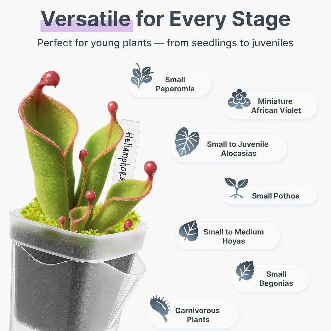 Self-Watering Seed Starter Pot System Stornfield