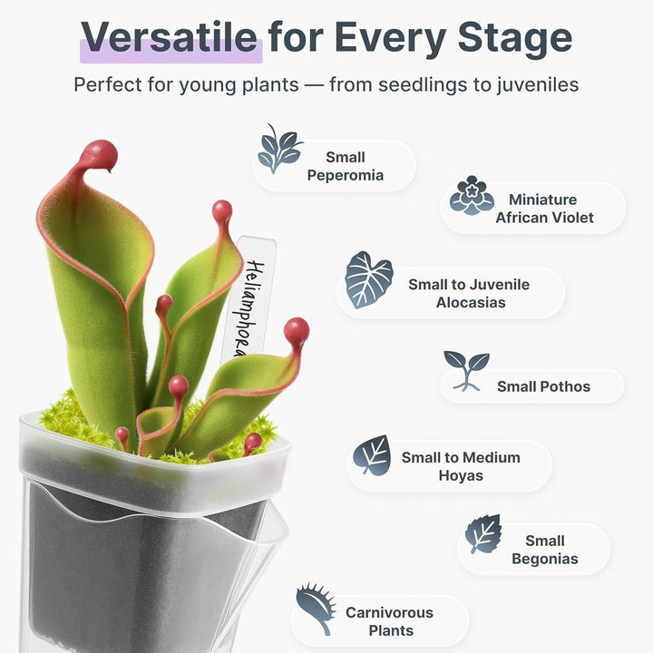 Self-Watering Seed Starter Pot System Stornfield