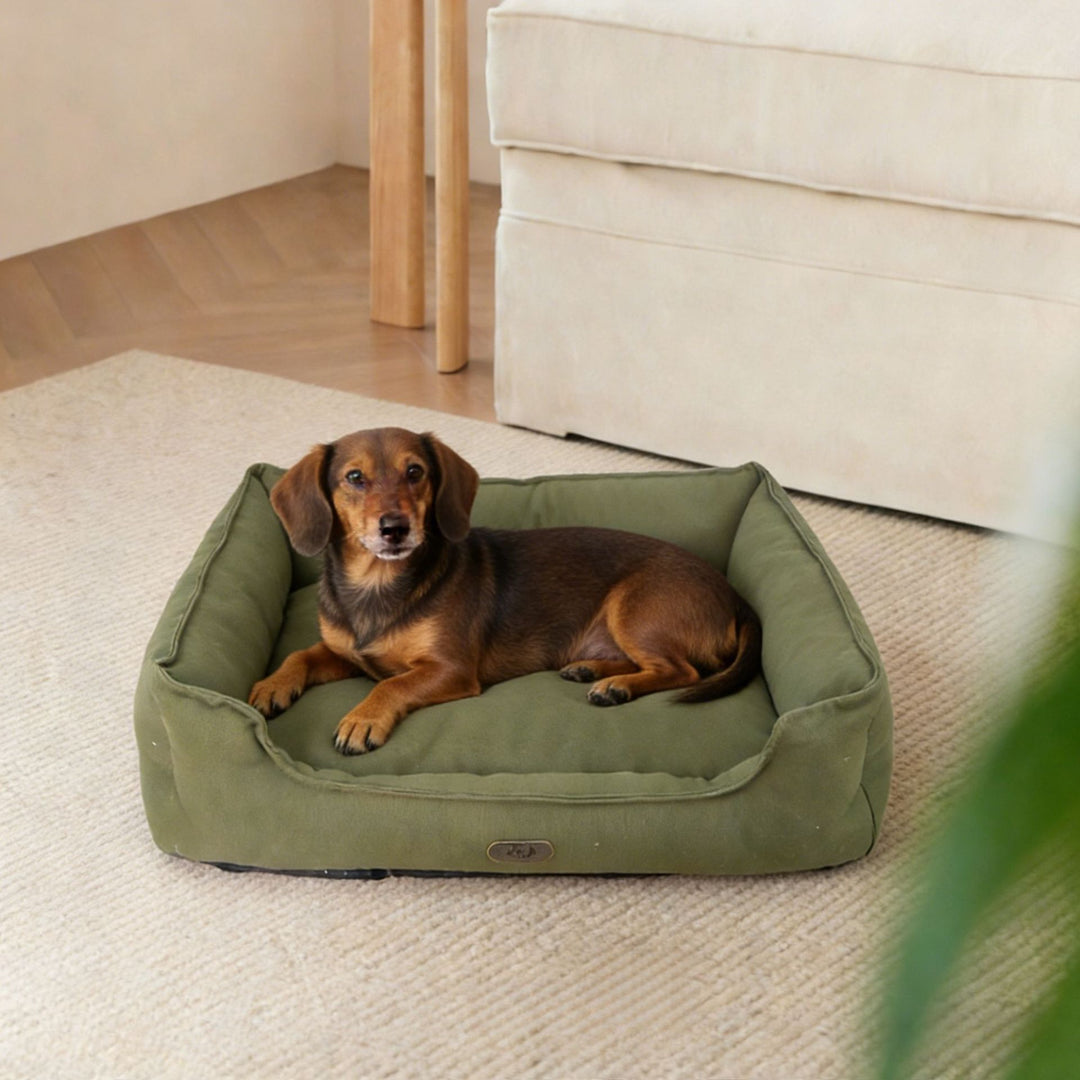 Orthopedic Supportive dog Lounge