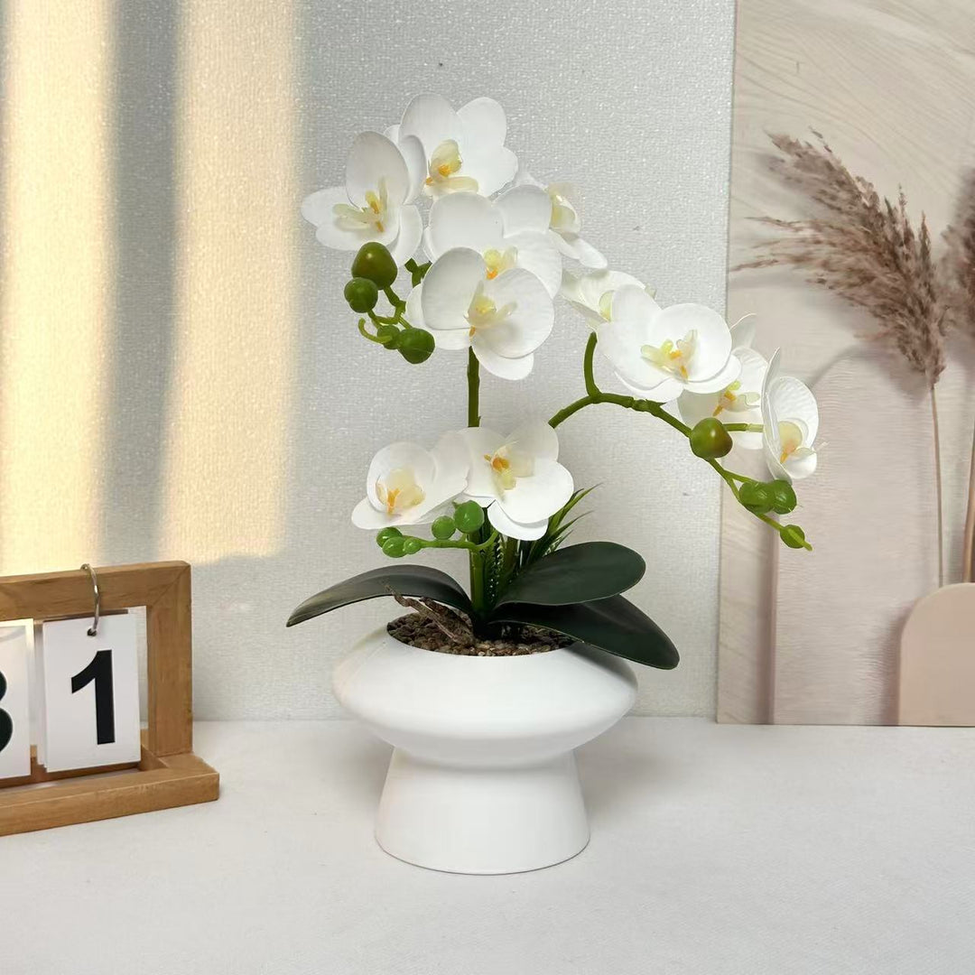Decorative Orchid Flower Arrangement for Home Display
