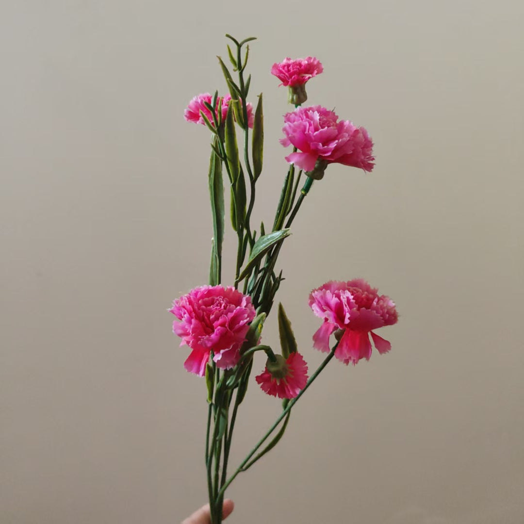Realistic Carnation Floral Stem