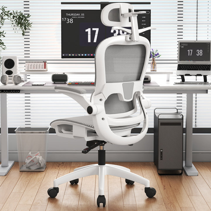 Adjustable Lumbar Support Office Chair Stornfield