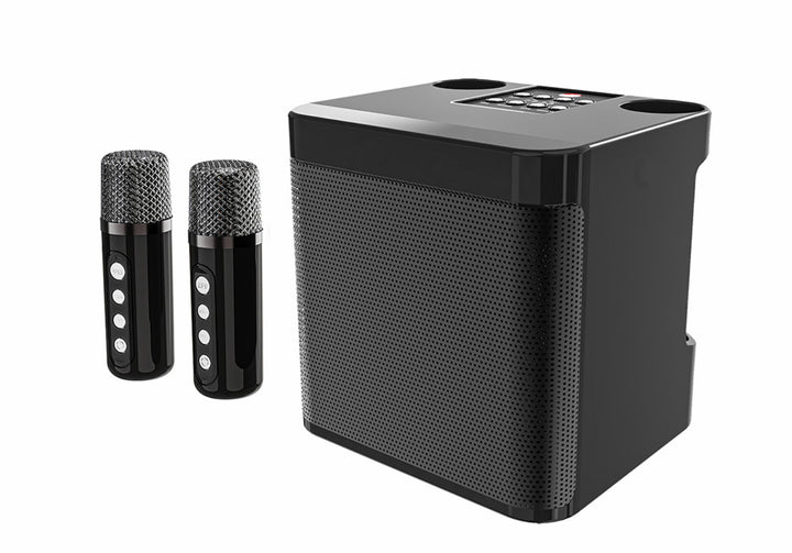Portable Karaoke Speaker System Stornfield
