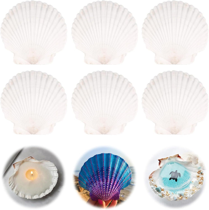 Unisex Creative Craft Set with Shells and Colors Stornfield