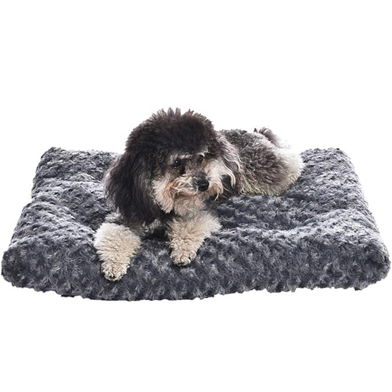 Plush Comfort   Dog Bed