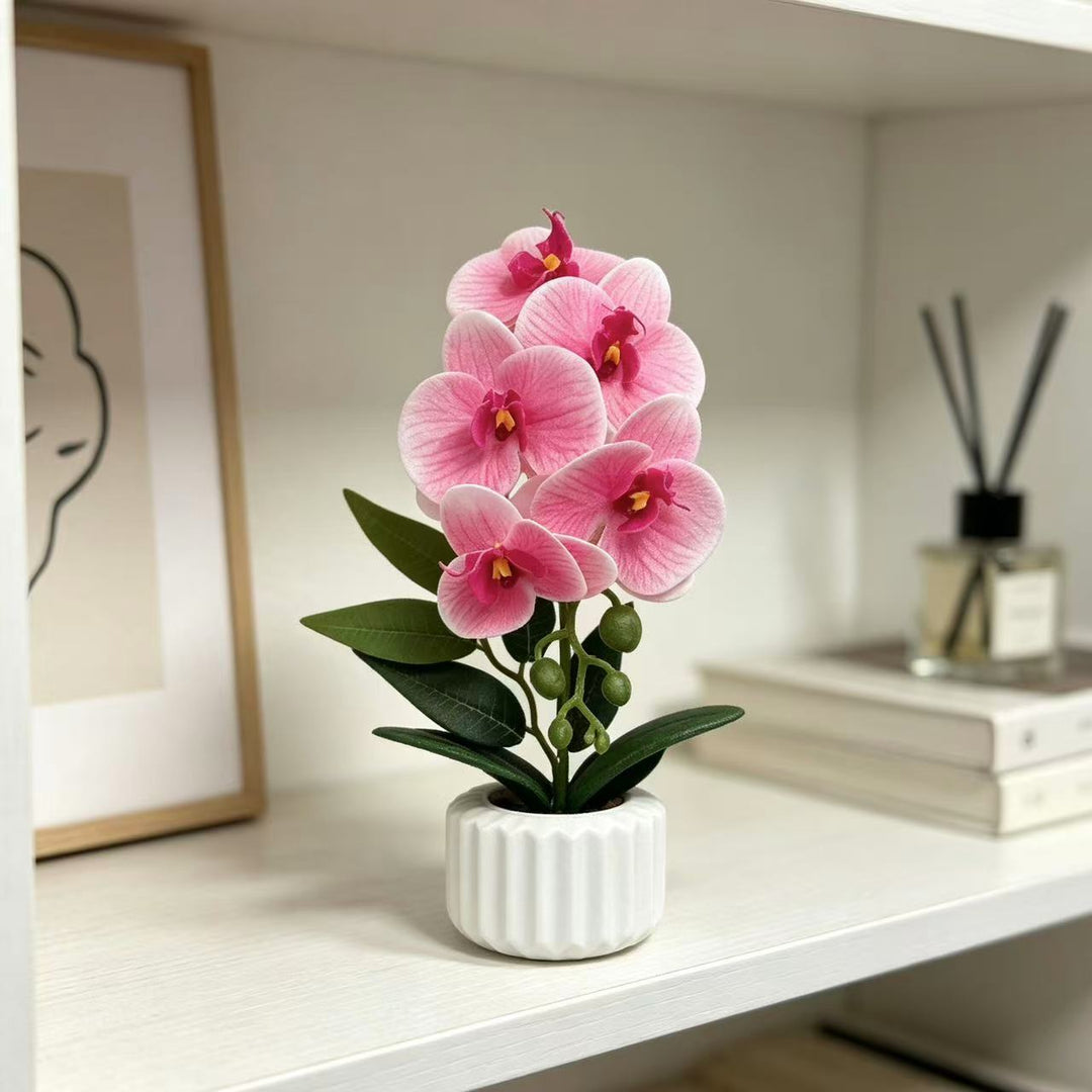 Decorative Potted Orchid for Home Decor Display