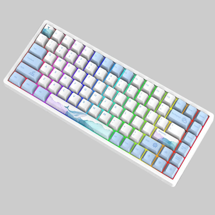 Wireless Gaming Mechanical Keyboard Stornfield