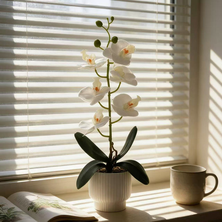 Elegant Artificial Orchid Plant Display for Home Decor