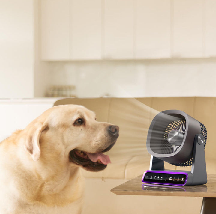 Air Circulator Stornfield