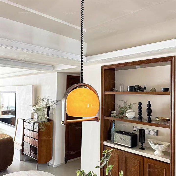Decorative Hanging  Light Fixture