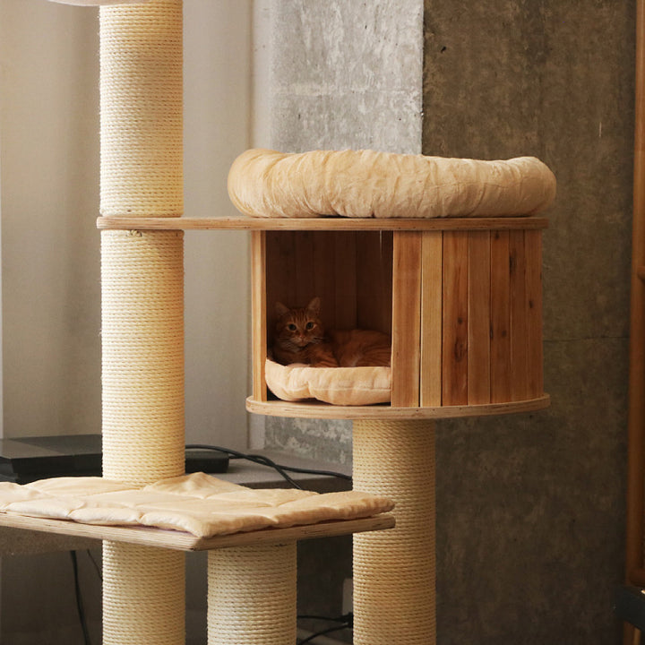 Cozy cat tree with multiple levels Stornfield