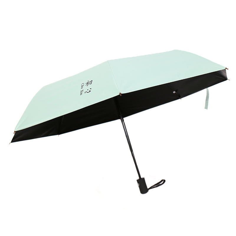 Ladies Pocket Umbrella Stornfield