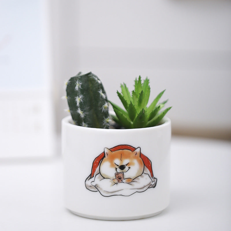 Cute Animal-Themed Succulent Planter Stornfeild