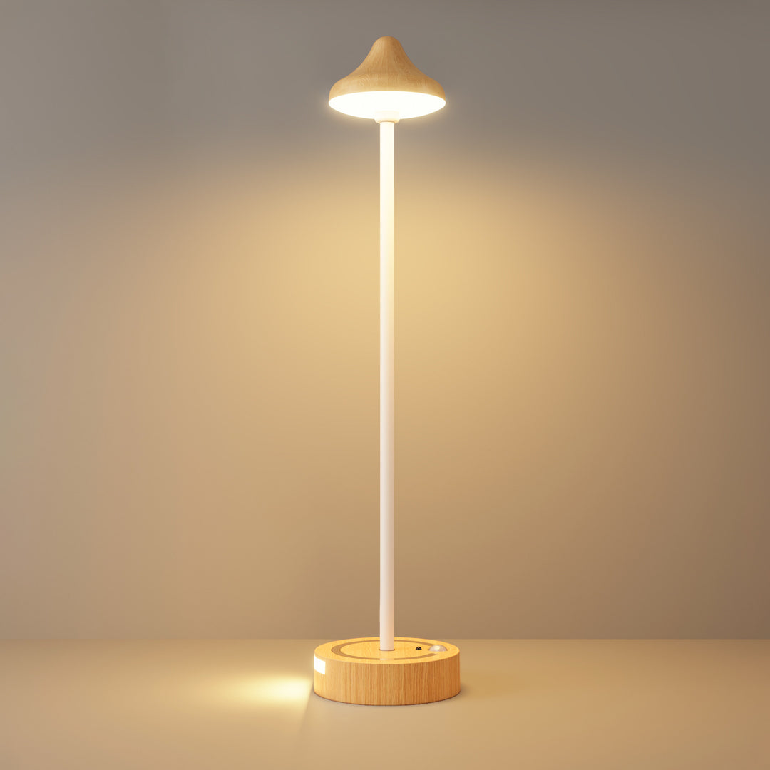 Multi-Purpose LED Sensor Lamp