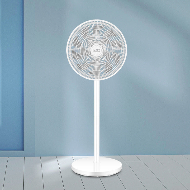Ladies Stand Fan Stornfield
