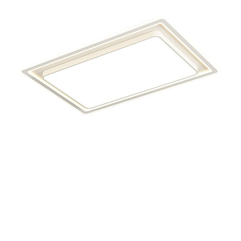 Modern Decorative Ceiling Light