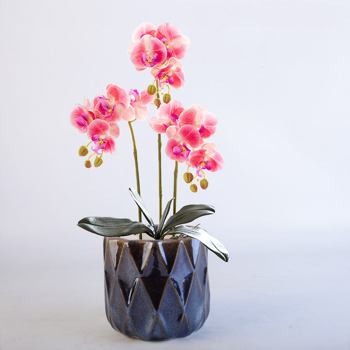 Elegant geometric plant bowl Stornfield