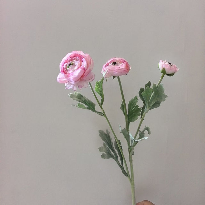 Realistic Ranunculus Floral Stem