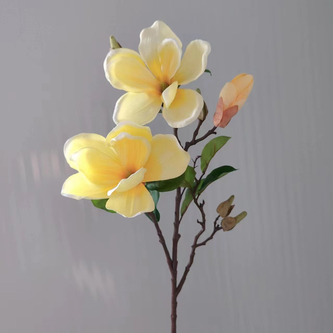 Realistic Magnolia Blossom Stem
