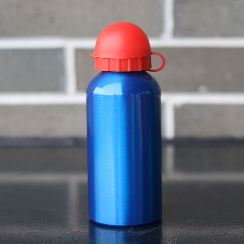 Insulated Stainless Steel Water Bottle Stornfield
