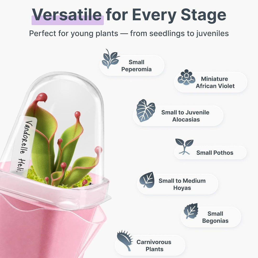 Self-Watering Seed Starter Kit Stornfield