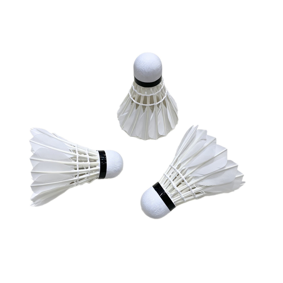 Badminton set Stornfield