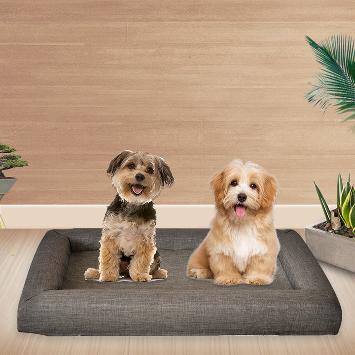 Orthopedic Rectangular dog Lounger