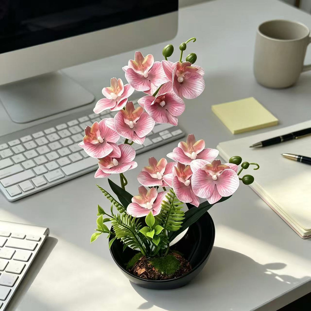 Lifelike Orchid Flower Display