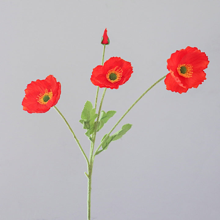 Realistic Decorative Ranunculus Stem