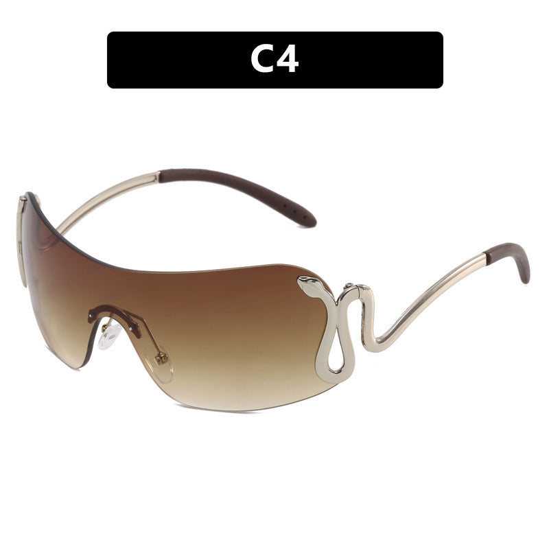 Ladies futuristic sunglasses with elegant swan design Stornfield