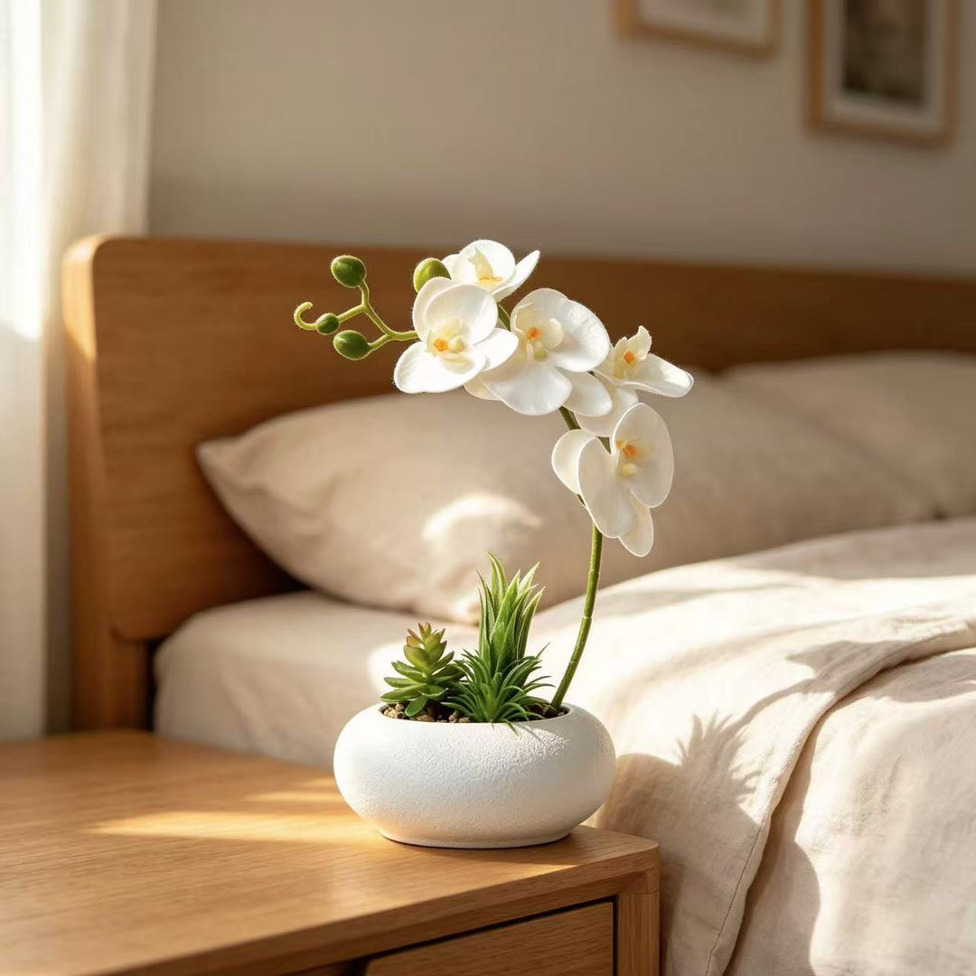 Elegant Orchid and Succulent Planter