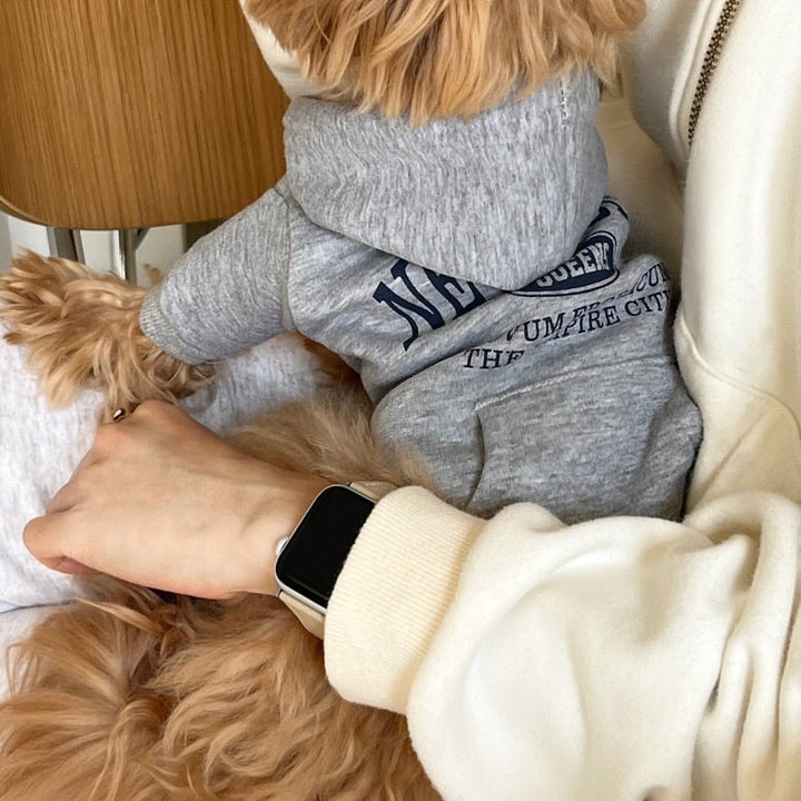 Small Dog Cotton Fleece Hoodie with Graphic New York Queens Print
