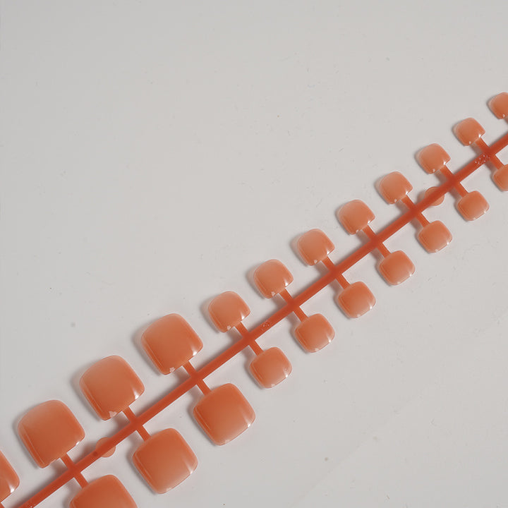 Natural Finish Press-On Toenail Set Stornfield