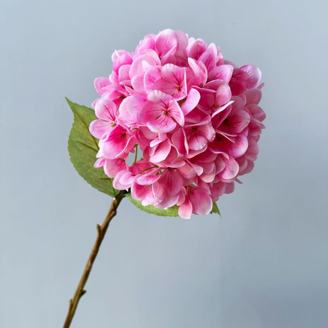 Floral Decorative