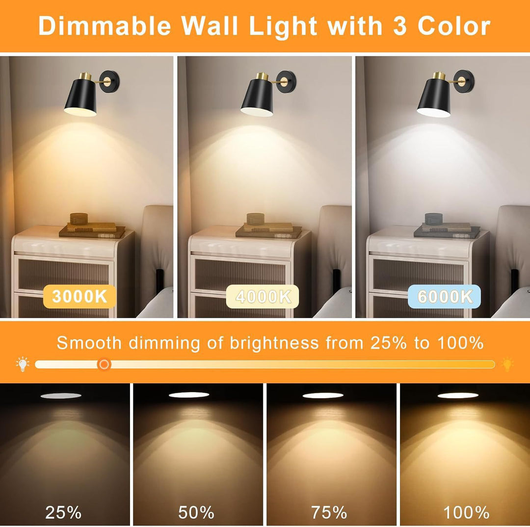 Wall Sconce