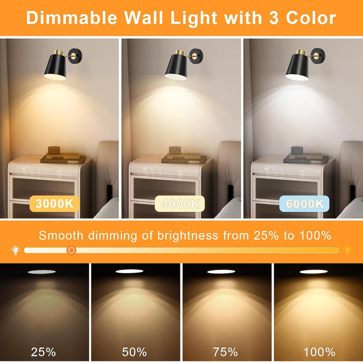 Wall Sconce