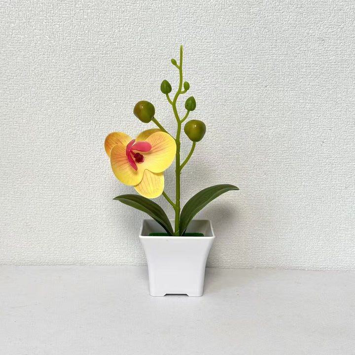 Lifelike Miniature Orchid Plant